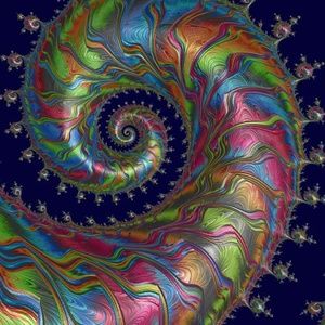 Meet your Posher, Ana